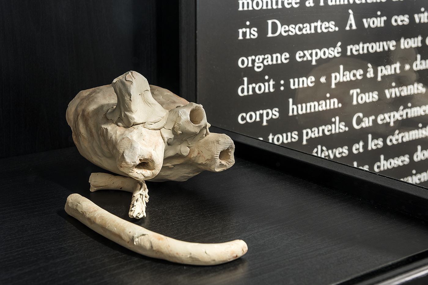 Voyage intérieur