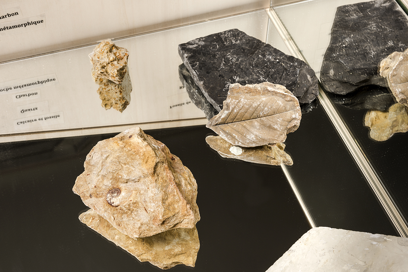Rocks unlimited