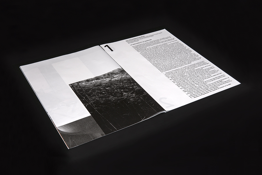 Propagation of monotony