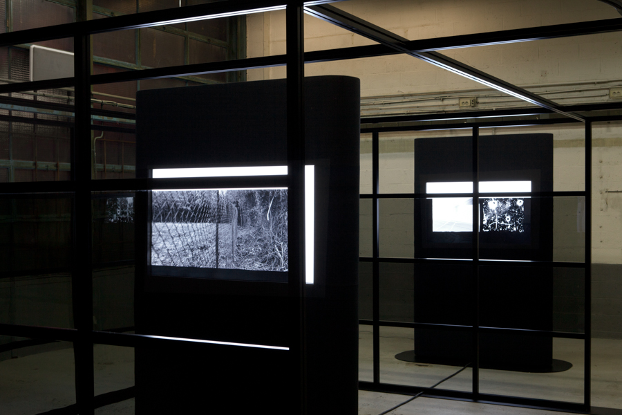 Propagation of monotony