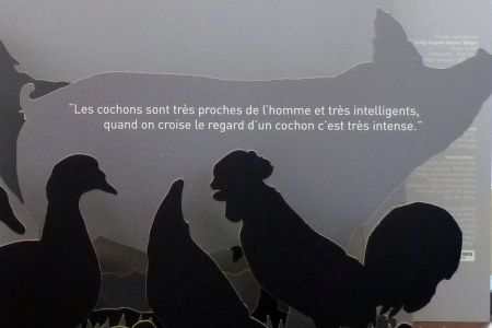 L'animal est un autre