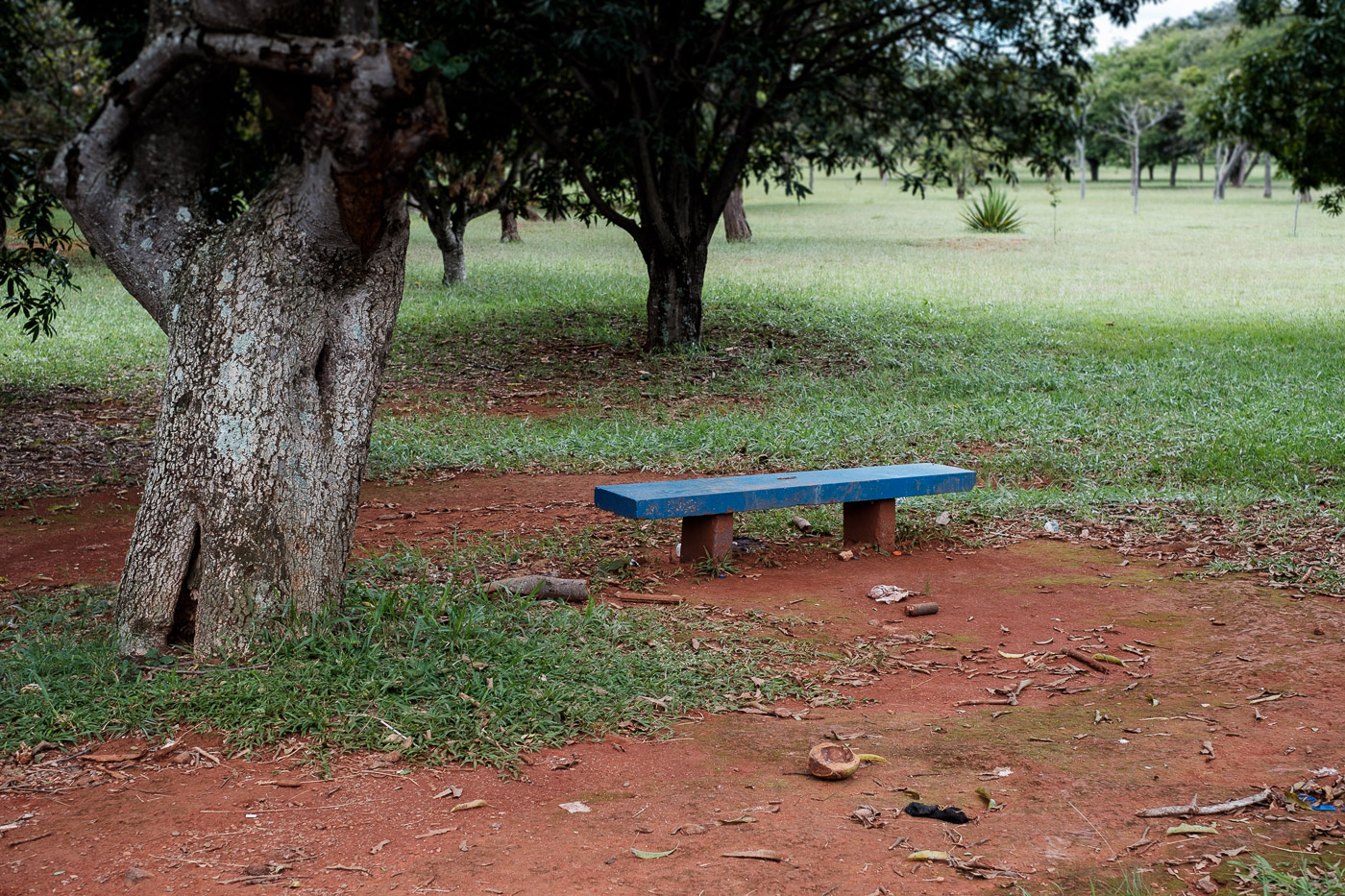 Créations rapprochées