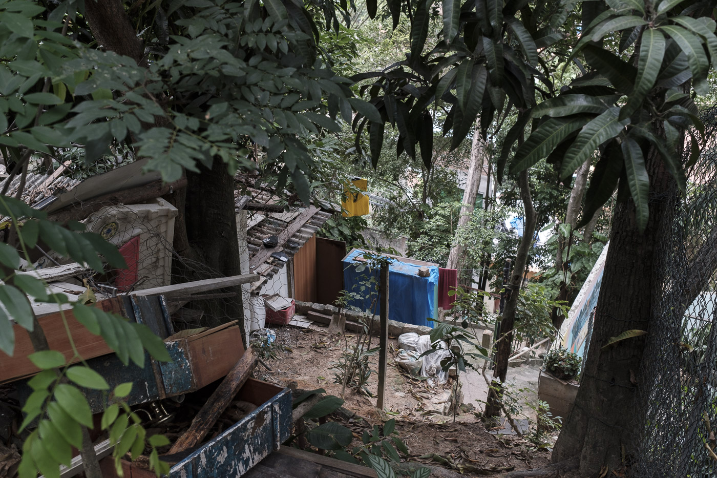 Créations rapprochées