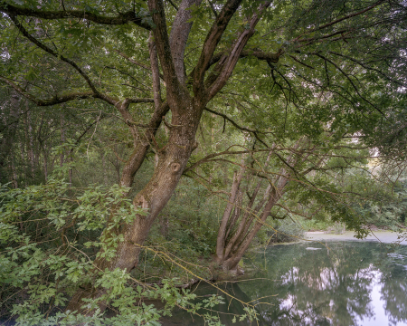 Plateformes et dÃ©pendance